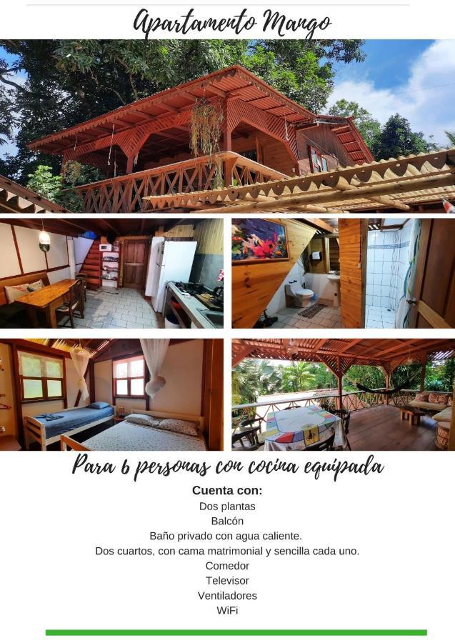 Chalet Y Cabinas Hibiscus Кахуіта Екстер'єр фото