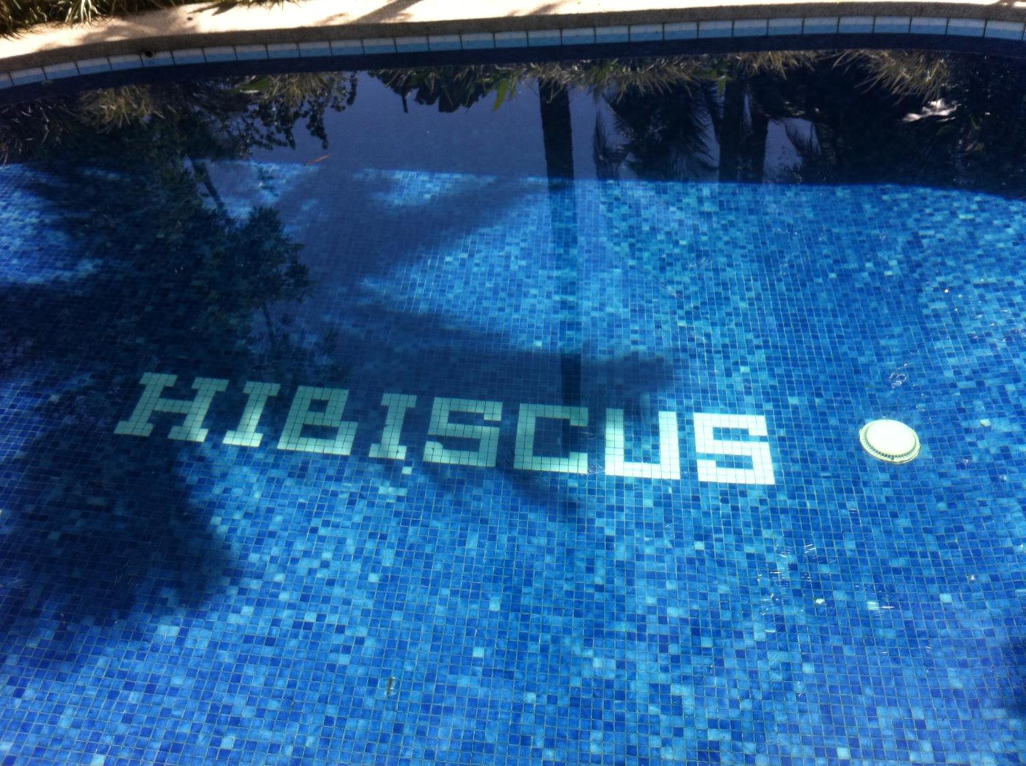 Chalet Y Cabinas Hibiscus Кахуіта Екстер'єр фото